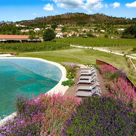 Lavandeira Douro Nature & Wellness Ancede المظهر الخارجي الصورة