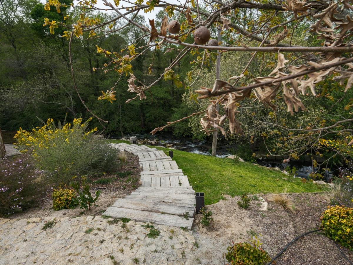 Lavandeira Douro Nature & Wellness Ancede المظهر الخارجي الصورة