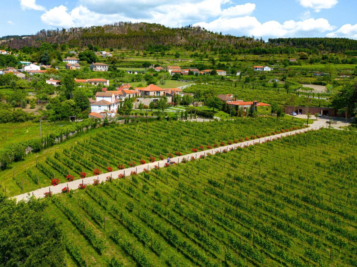 Lavandeira Douro Nature & Wellness Ancede المظهر الخارجي الصورة