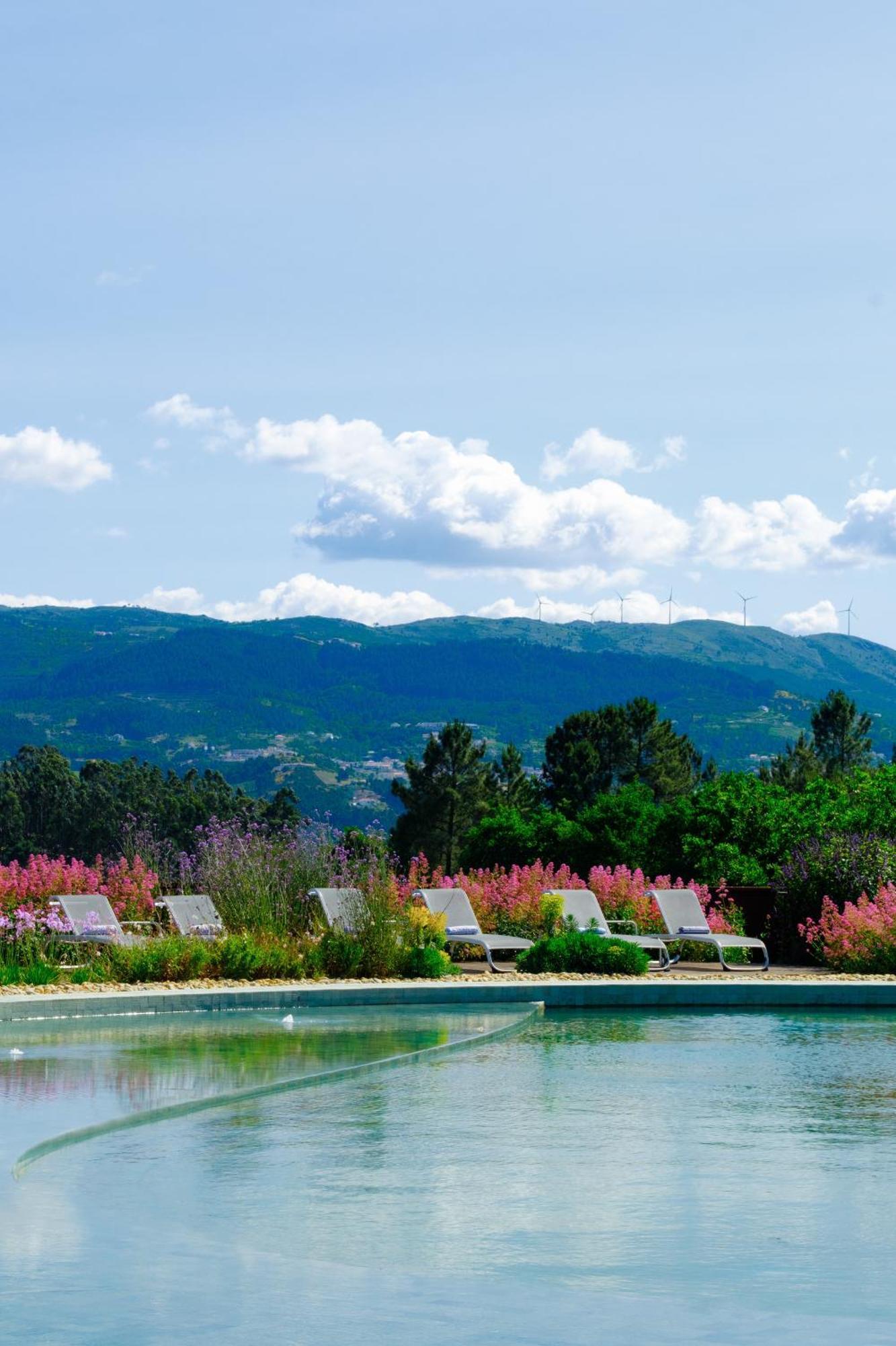 Lavandeira Douro Nature & Wellness Ancede المظهر الخارجي الصورة